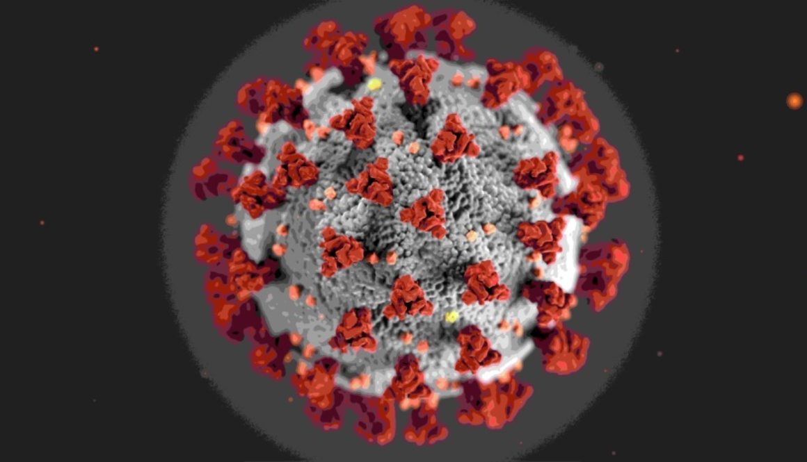virus