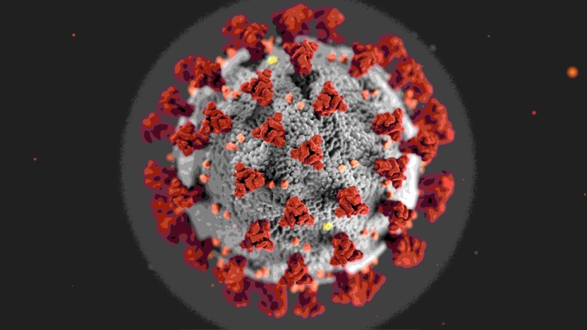 virus